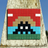 Invader - FAO_01