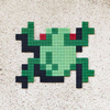 CROSSING FROG