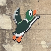 DO NOT FUCK WITH DUCKS!